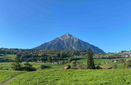 Faulensee Apartamento | See und Berge Garden