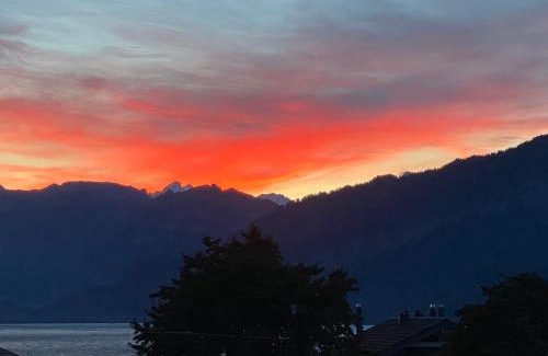 Faulensee Apartamento | See und Berge Garden