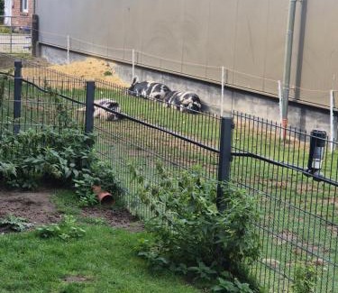 Ottersberg Apartamento | Seeotter