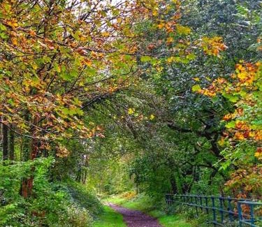 Port Talbot Casa | Selah Cottage, 21 Queen Street