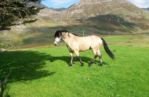 Recess Cabaña | CABAÑA AUTOGERANTE EN PICTURESQUE INAGH VALLEY, Receso, CONNEMARA, Con Wi-Fi