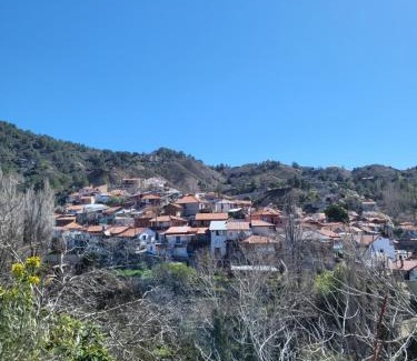 Foini Chalet De Esquí | Selin the stone house