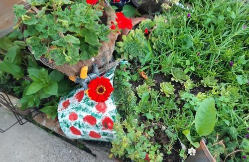 Nisava District Apartamento | Seosko turističko domaćinstvo Stojković