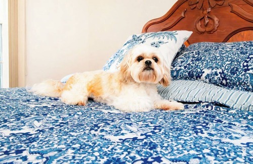 Elizabeth City Apartamento | Separate Apartment in Beautiful Historic Riverside Neighborhood. Pets welcome!