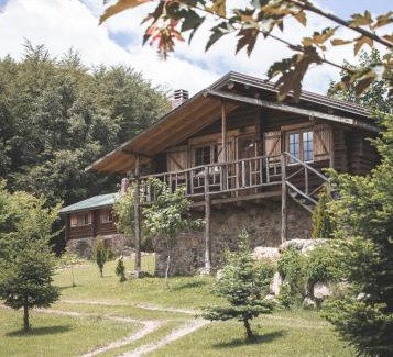 Naousa Hotel | Sfendamos Wood Village