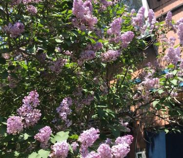 Chuo-ku Casa | Shabby House