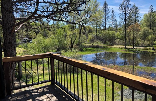Rough and Ready Cabaña | Shangrila with view of wildlife pond above artist's studio in Rough and Ready