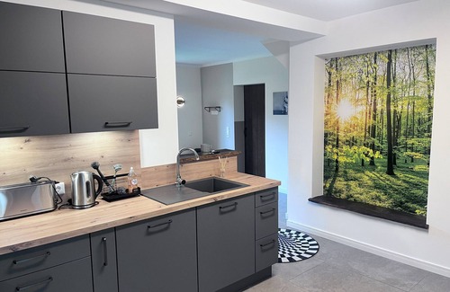 Schmalfeld Casa | Shed 30 near Hamburg between the seas. Billiards, darts, sauna, very luxurious