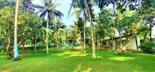 Covelong Beach Complejo | Shelter Beach Resort