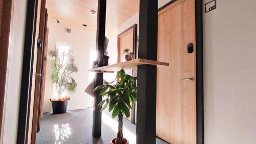 Otaru Hotel | Sho inn MINIMAL HOTEL 小樽駅から無料送迎あり