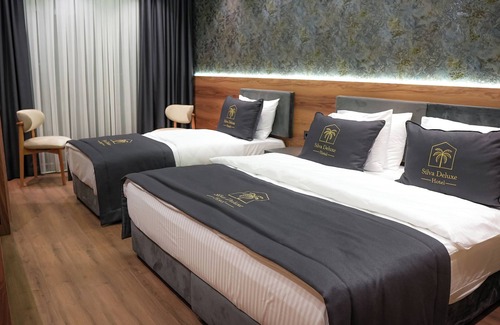 Mezetli Hotel | SİLVA DELUXE HOTEL