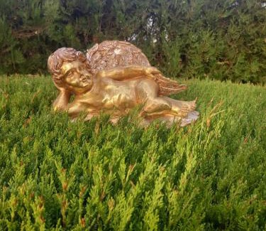 Sikia Apartamento | Sias Cozy House