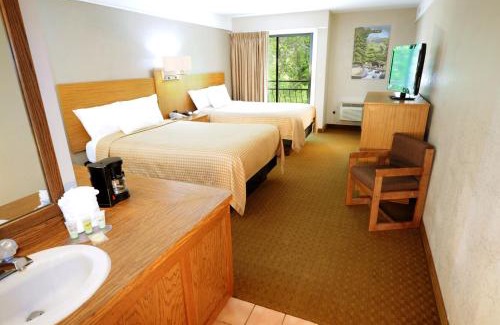 Gatlinburg Hotel | Sidney James Mountain Lodge