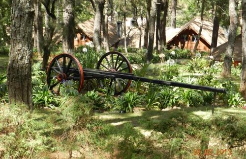 Mazamitla Chalet De Esquí | Sierra Paraiso Hotel