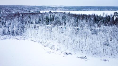 Rovaniemi Hotel | Silver Birch Resort Lapland