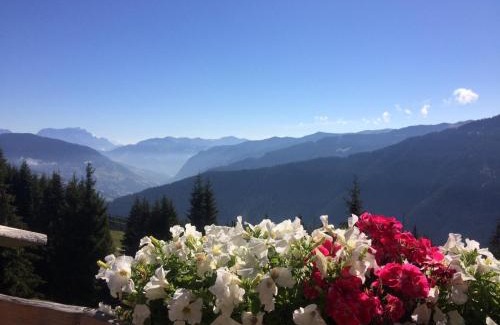 Saalbach Hotel | Simal Alm