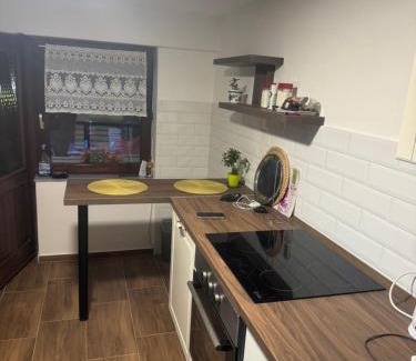 Novi Sad Casa | Simsir villa Novi Sad wifi