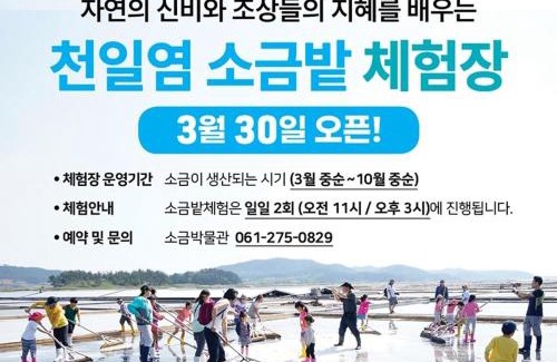 Jeungdo Otro | Sinan Solar Salt Healing Camp Caravan