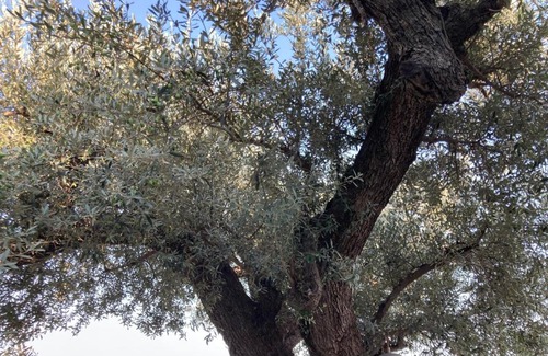 La Senia Cama Y Desayuno | Sis Pobles Bed&Breakfast