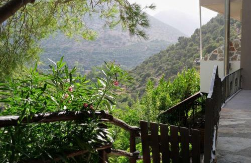 Sisai Casa | Sisaion Suites - Live the Cretan Hospitality