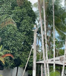 Santo Antonio do Taua Chalet De Esquí | Sitio dos nana's