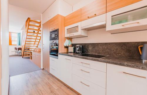 Ricky v Orlickych horach Apartamento | Skiapartma - Říčky v Orlických horách