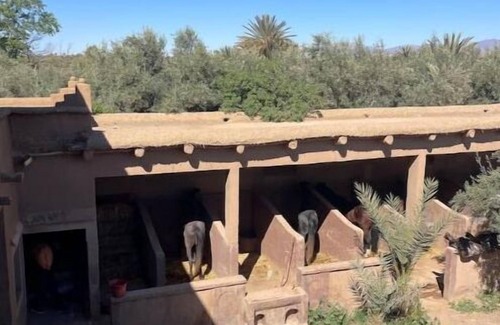 Skoura Casa | Skoura Ranch - Palmeraie