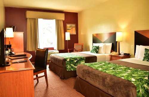 San José Hotel | Sleep Inn Hotel Paseo Las Damas