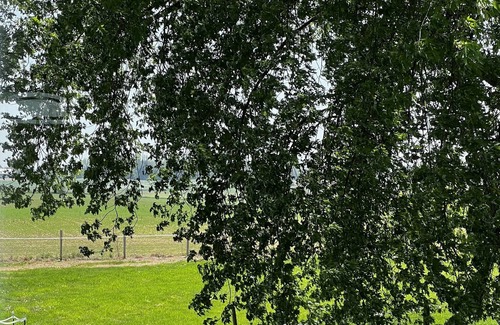 Kewaunee Otro | Sleepy Sheep Farm of Kewaunee near shores of Lake Michigan.