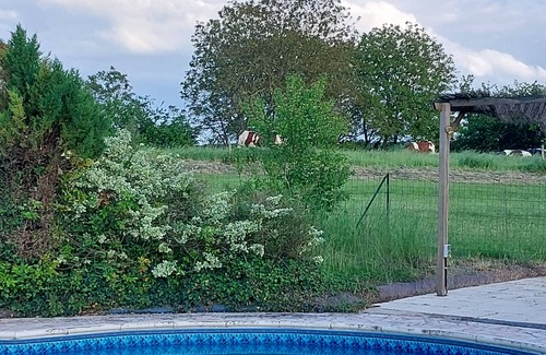 Boce Cabaña | SMALL COUNTRY HOUSE