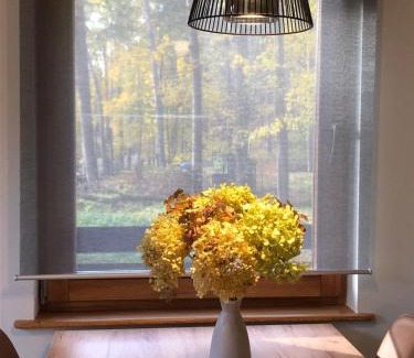 Jurmala Casa | Small resort Pini & SPA