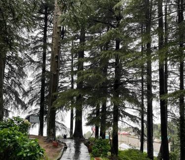 Dalhousie Hotel | Smarthill Kalatop,Dalhousie