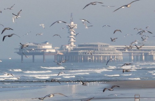 Vissershaven Apartamento | Acogedor Apartamento en Scheveningen cerca del Mar