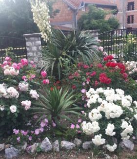 Golubac Casa | Sobe Seka