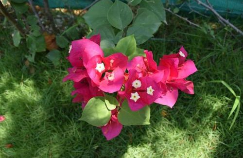 Playa Blanca Casa | SOL BRILLANTE