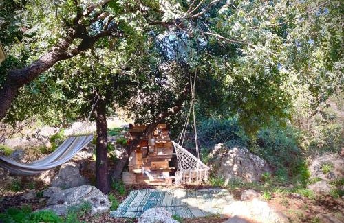 Amirim Casa | Solara Cabin