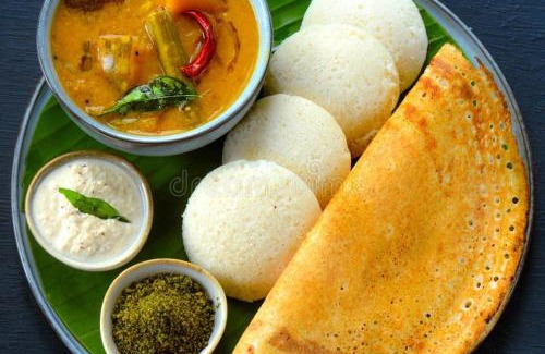 Kumbalam Villa | solomons ark