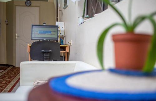 Zanderij Casa | Sonja's Guesthouse