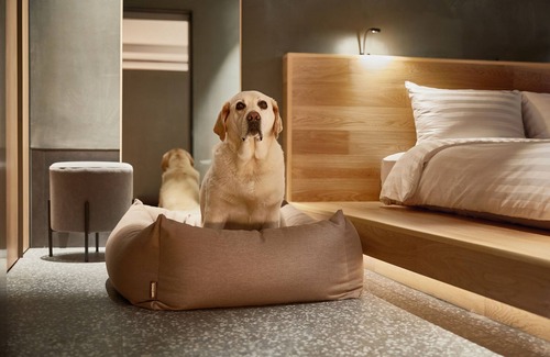 Seo Complejo | Sono Pet Clubs & Resorts VivaldiPark