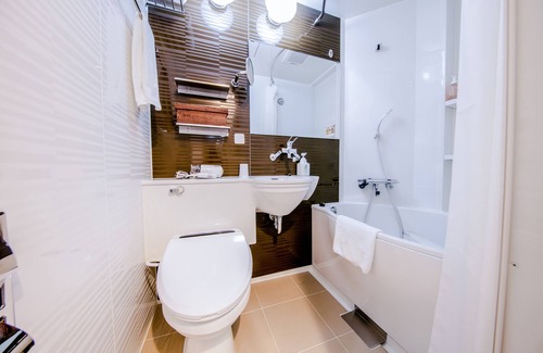 Uchikanda Hotel | Sotetsu Fresa Inn Kanda Otemachi