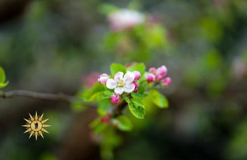 Bortigiadas Casa | Soul River - Rifugio Zen sul Ruscello