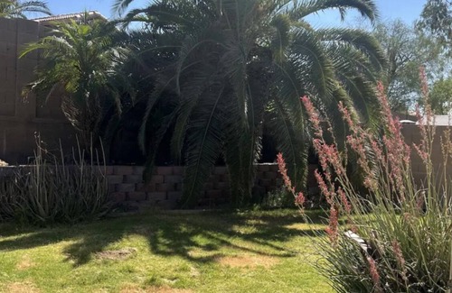 South Mountain Casa | South Mountains Views and Fun! Big back yard and Next to a park with playground