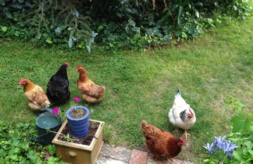 Burradoo Cabaña | ** ** El alojamiento Southdown ESTABLE Bowral-Unique