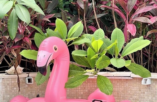 Tybee Island Cabaña | Southern Conch Cottage with Private Pool!