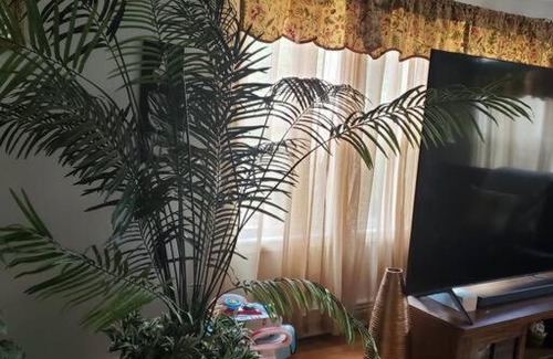 Leicester Villa | Spacious Countryside Villa