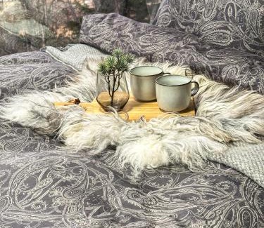 Nord-Aurdal Casa | Spegill Escape to Mirror Glass and Breathtaking Calm at 1000m