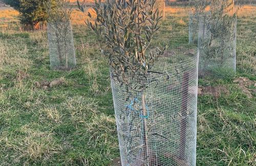 Wisemans Creek Otro | Spring Valley Farmhouse, 5 beds, Hot Tub, Pet Friendly