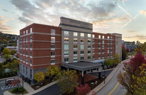South Side Flats Hotel | SpringHill Suites Pittsburgh Southside Works
