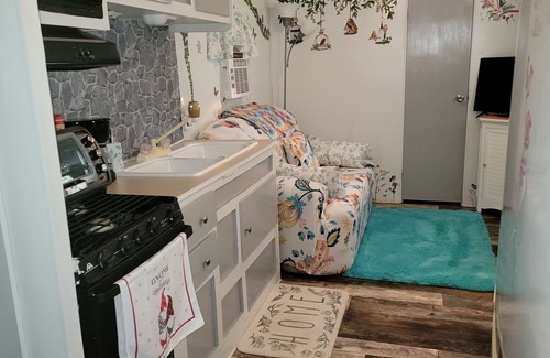 Delhi Casa | Squirrels Nest