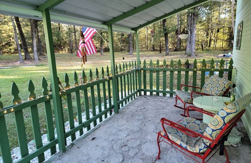 Delhi Casa | Squirrels Nest